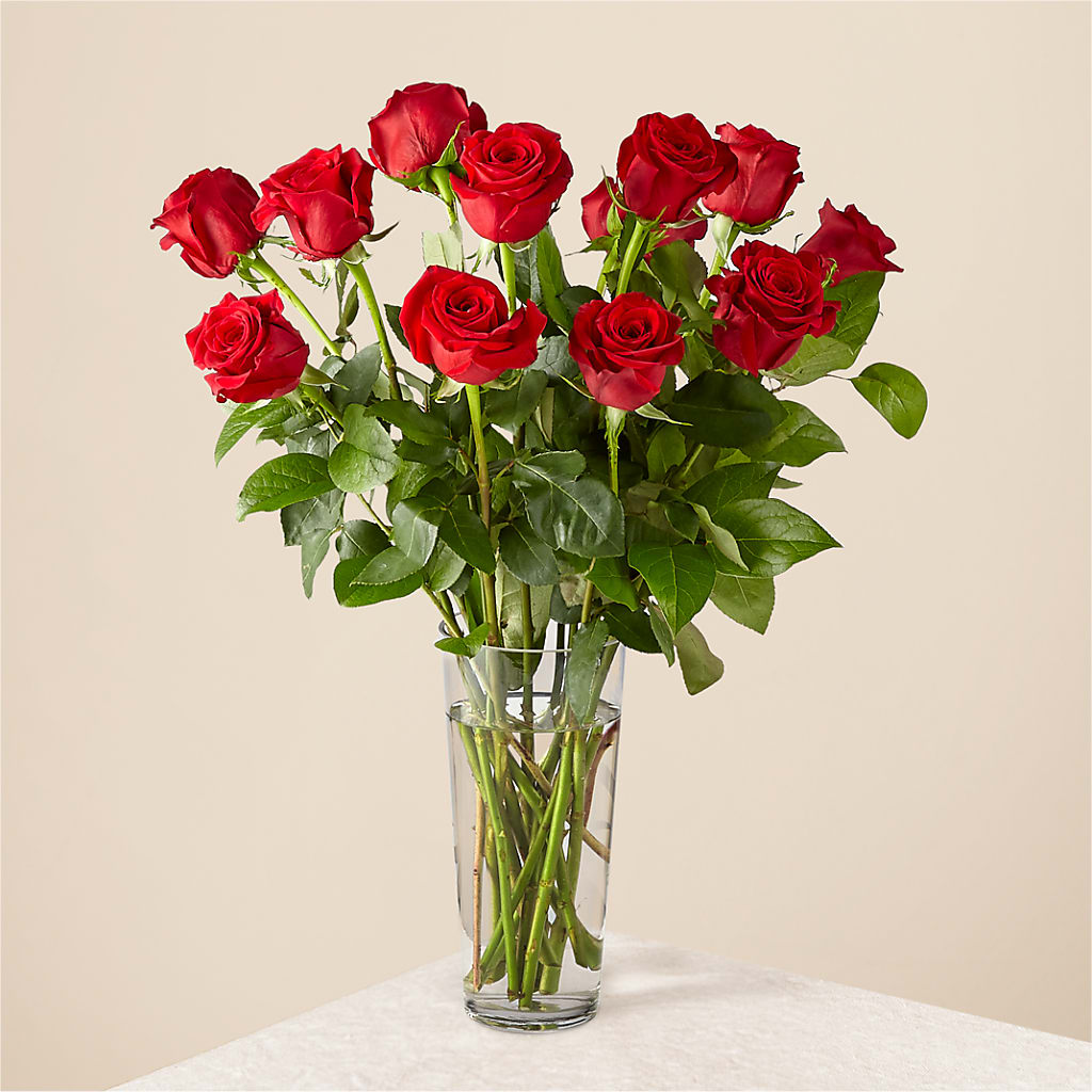 Long Stem Red Rose Bouquet – TAYLOR'S MERCANTILE, Sewanee TN