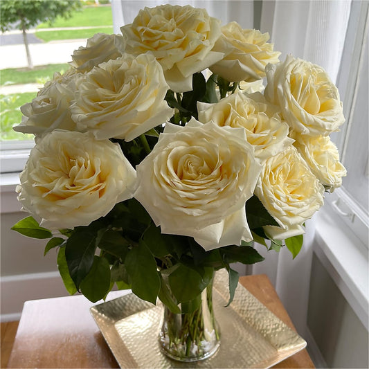 Long Stem Yellow Rose Bouquet – TAYLOR'S MERCANTILE, Sewanee TN