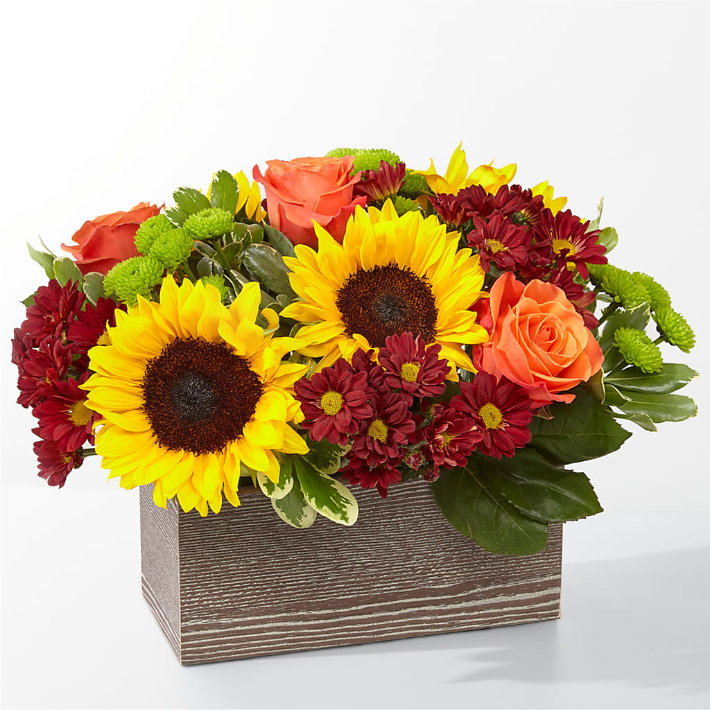 Happy Harvest Garden – TAYLOR'S MERCANTILE, Sewanee TN