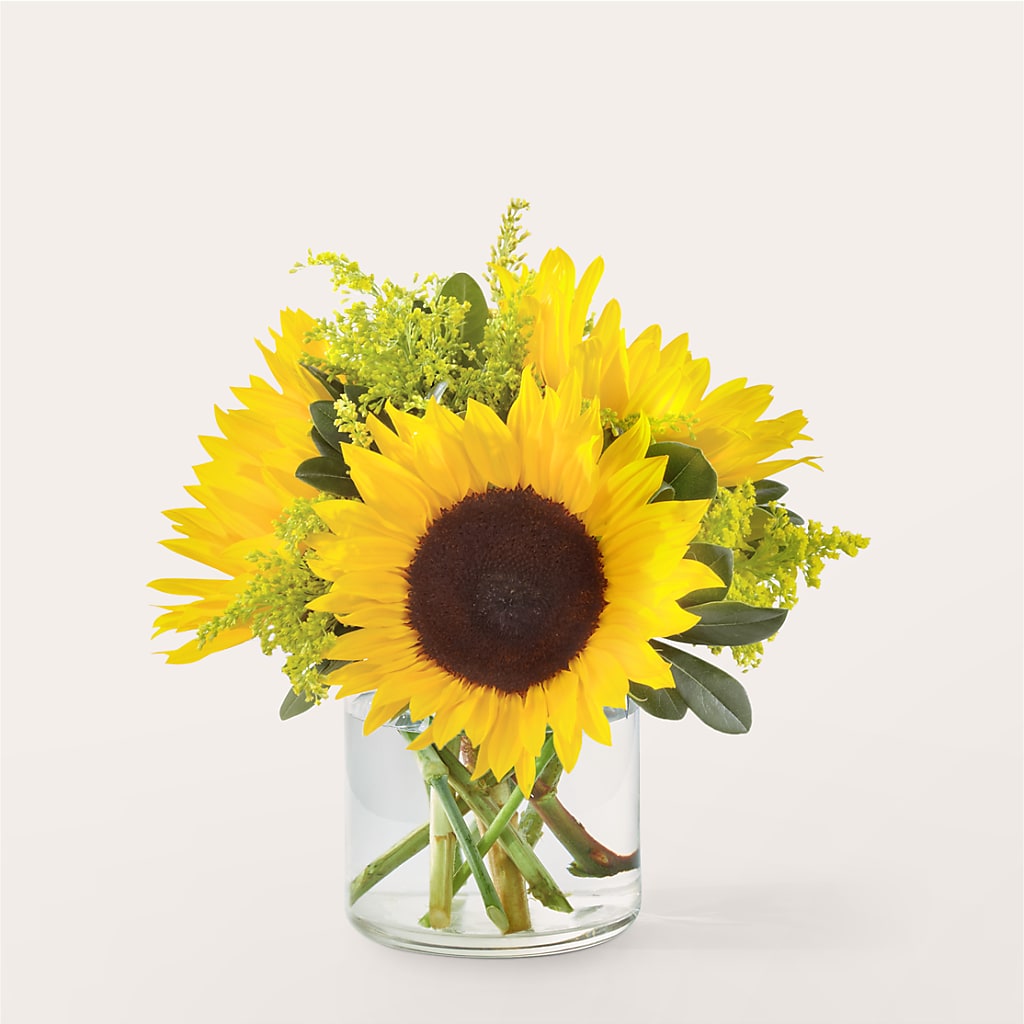 Beaming Sunflower Bouquet – TAYLOR'S MERCANTILE, Sewanee TN