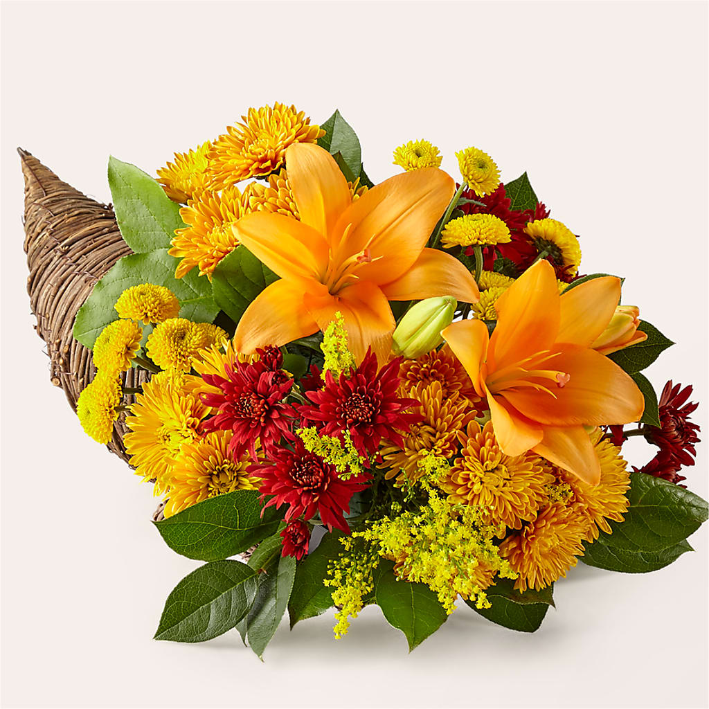 Feast of Color Cornucopia – TAYLOR'S MERCANTILE, Sewanee TN