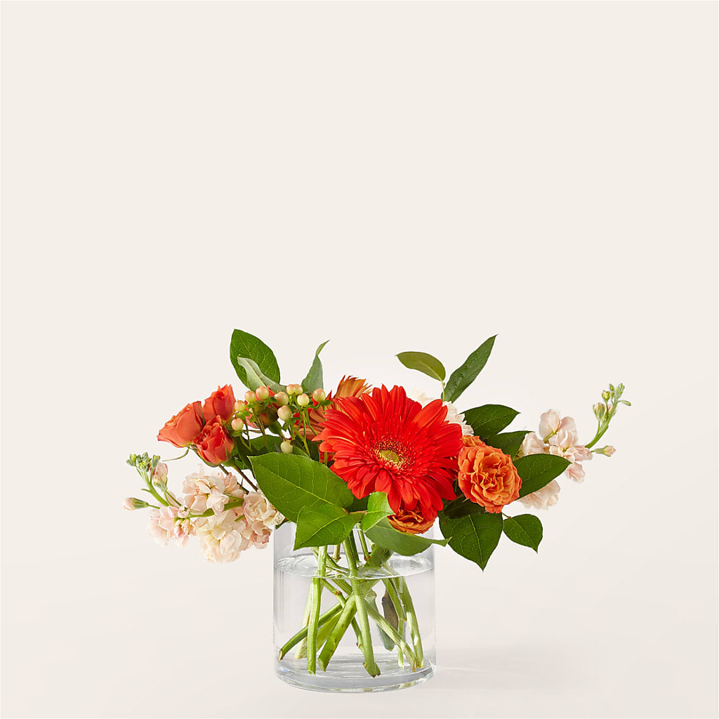 Paloma Please Bouquet – TAYLOR'S MERCANTILE, Sewanee TN