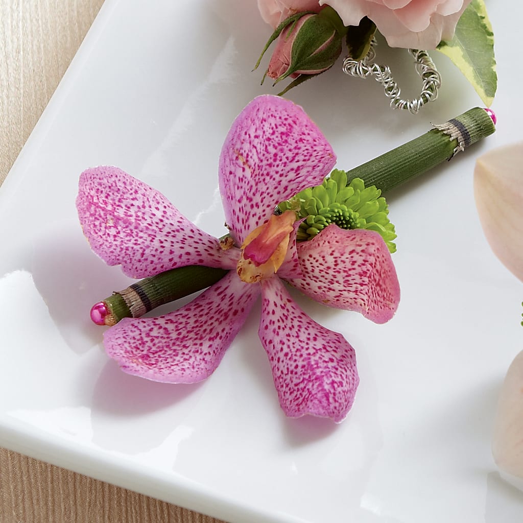Pink Mokara Boutonniere – TAYLOR'S MERCANTILE, Sewanee TN