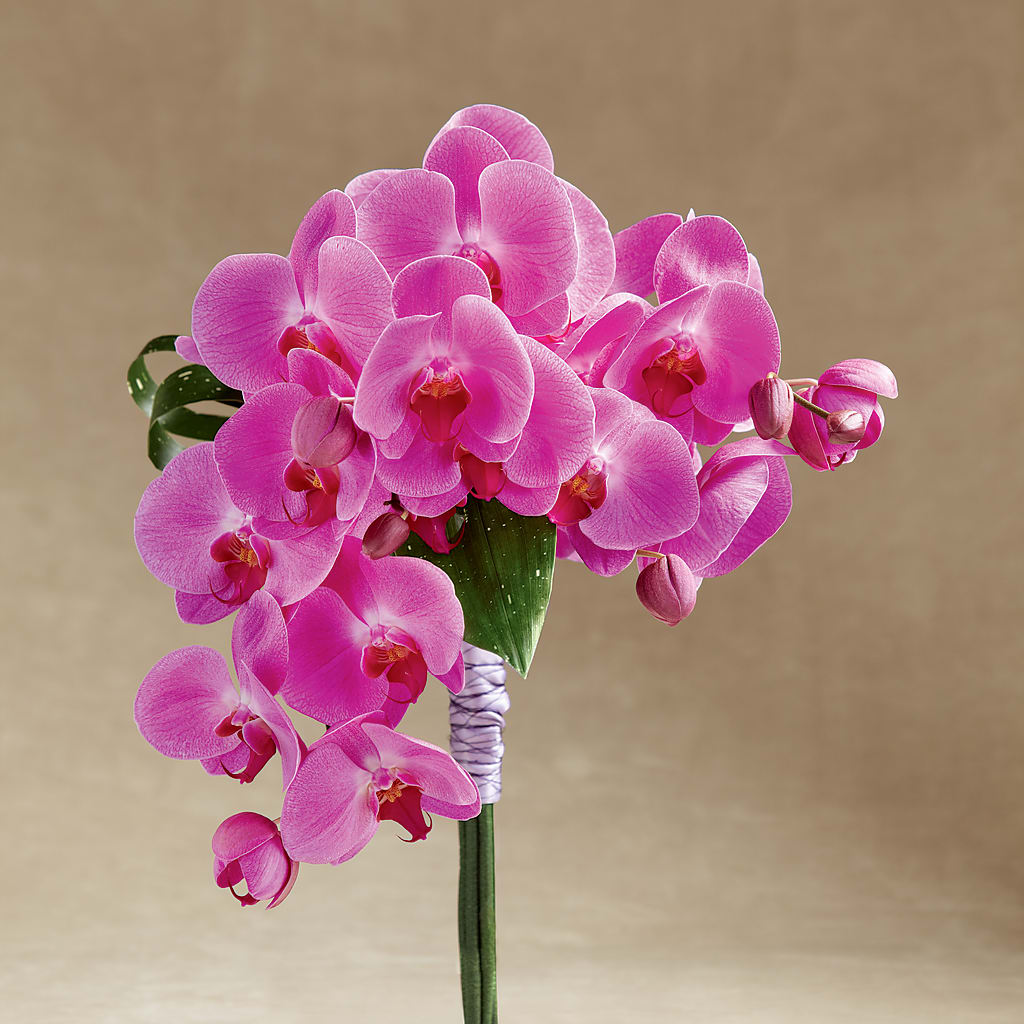 Glorious Bouquet – TAYLOR'S MERCANTILE, Sewanee TN