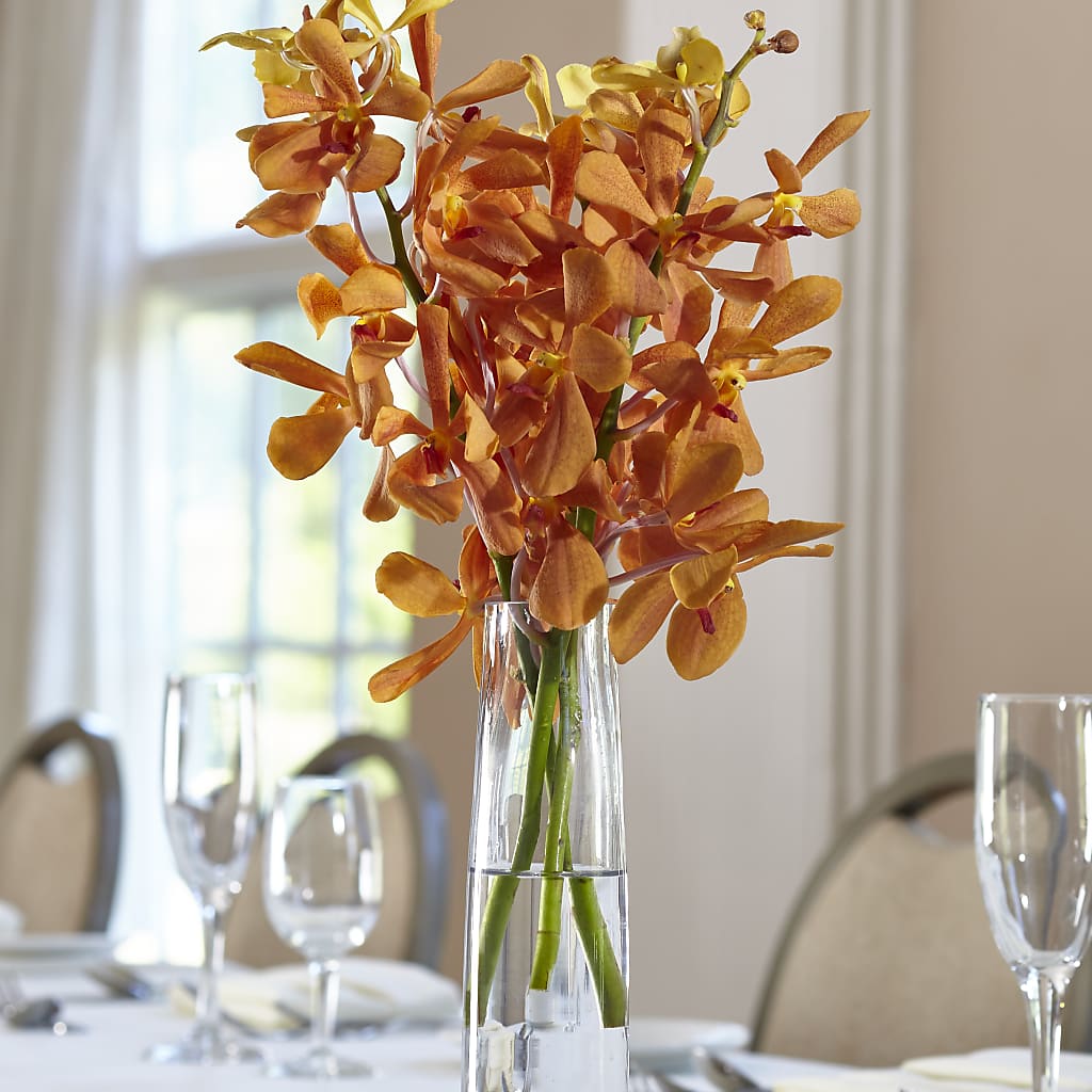 Orange Mokara Bud Vase – TAYLOR'S MERCANTILE, Sewanee TN