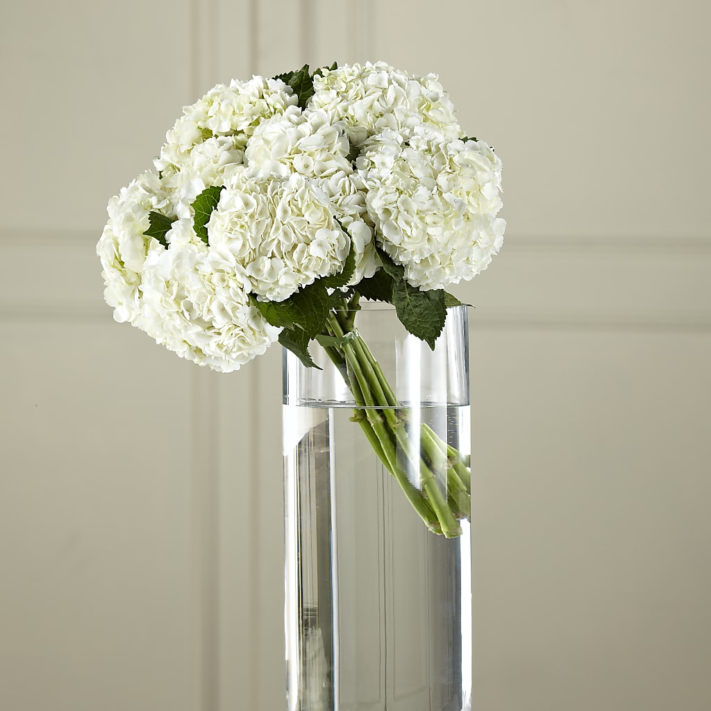 White Hydrangea Hand-Tied Bouquet – TAYLOR'S MERCANTILE, Sewanee TN