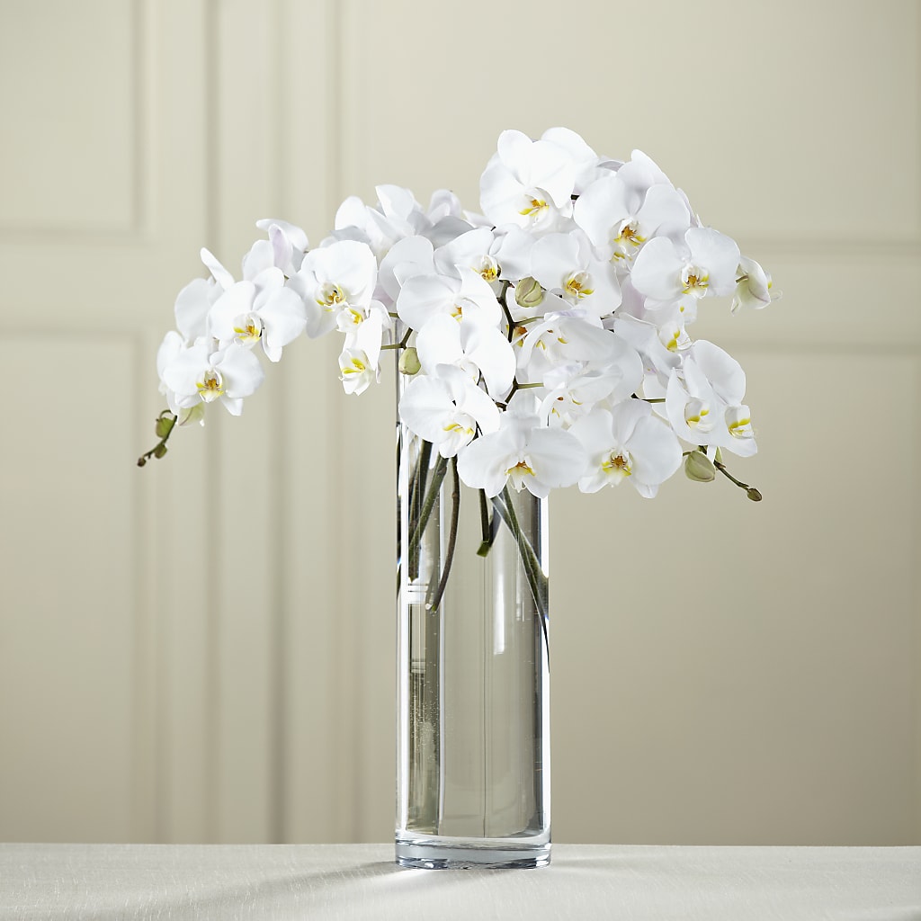 White Phalaenopsis Bouquet – TAYLOR'S MERCANTILE, Sewanee TN