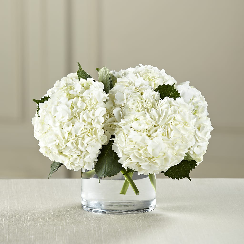 White Hydrangea Bouquet – TAYLOR'S MERCANTILE, Sewanee TN