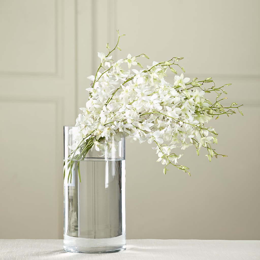 White Dendrobium Bouquet – TAYLOR'S MERCANTILE, Sewanee TN