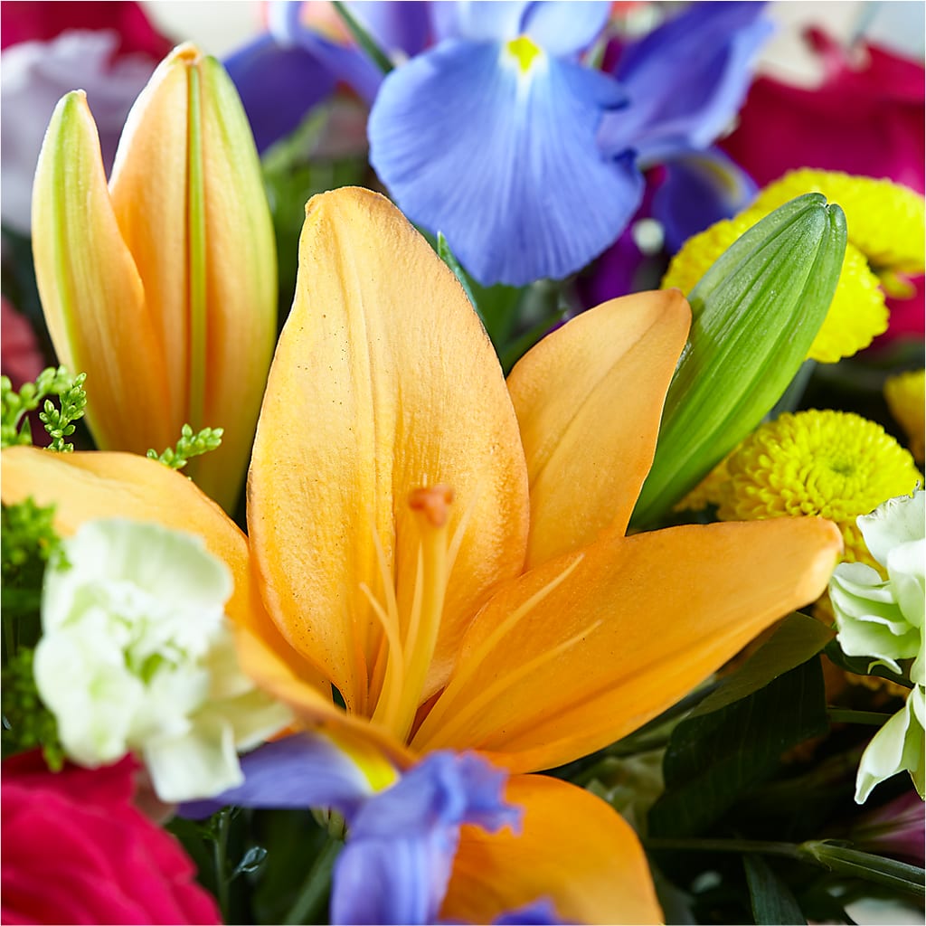 Bold & Bright – A Florist Original – TAYLOR'S MERCANTILE, Sewanee TN