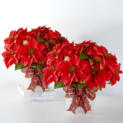 Happiest Holidays Poinsettia Bundle – TAYLOR'S MERCANTILE, Sewanee TN
