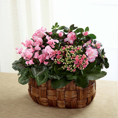 Pink Assortment – TAYLOR'S MERCANTILE, Sewanee TN