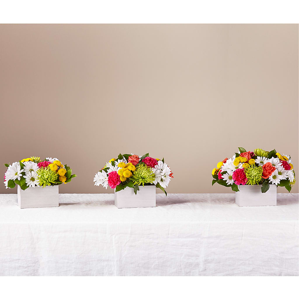 Sorbet Bouquet – TAYLOR'S MERCANTILE, Sewanee TN