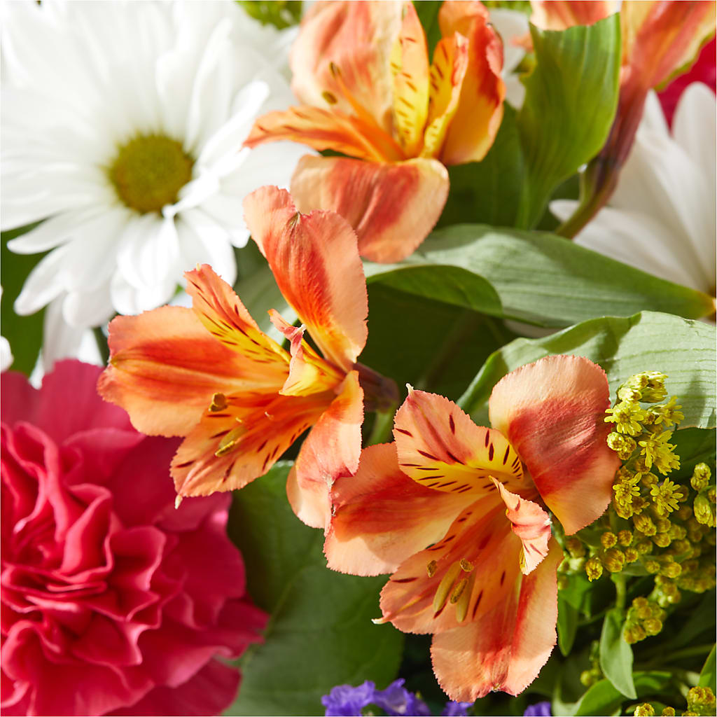 Oopsie Daisy Box Bouquet – TAYLOR'S MERCANTILE, Sewanee TN