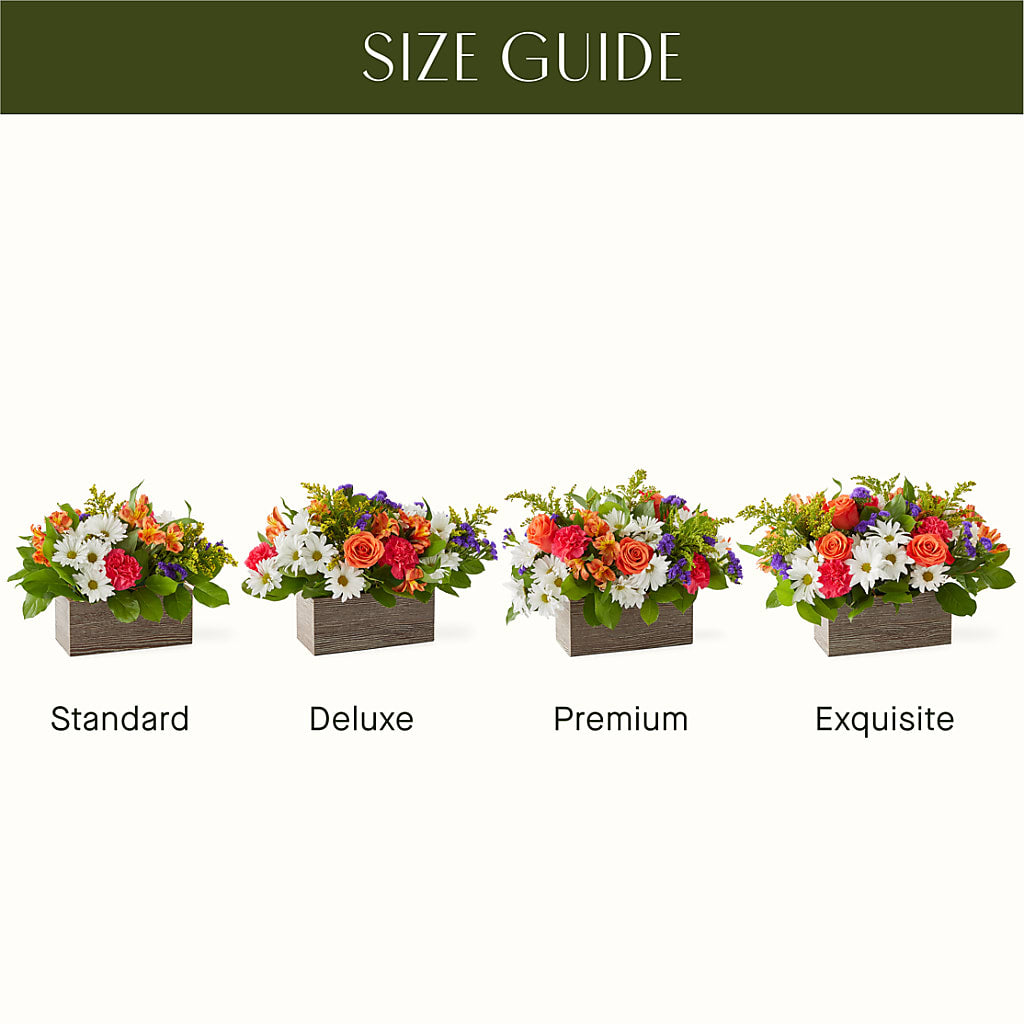 Oopsie Daisy Box Bouquet – TAYLOR'S MERCANTILE, Sewanee TN