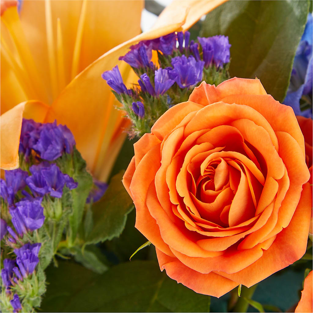 Radiant Citrus Box Bouquet – TAYLOR'S MERCANTILE, Sewanee TN