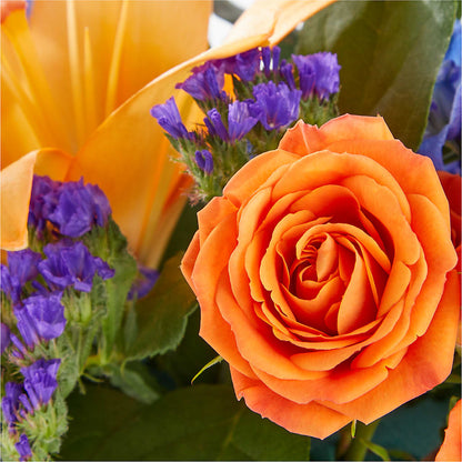 Radiant Citrus Box Bouquet – TAYLOR'S MERCANTILE, Sewanee TN