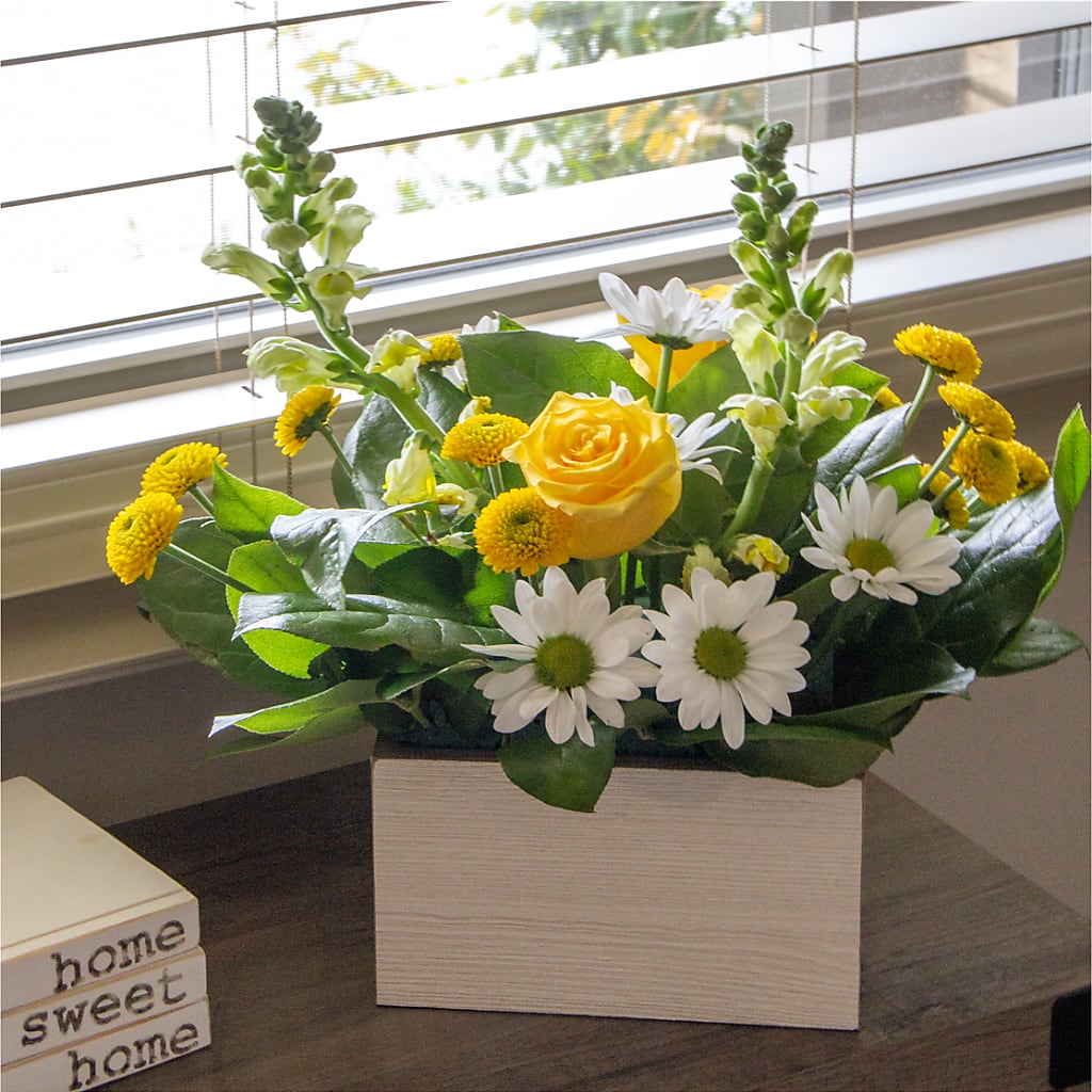 Sun Salutation Box Bouquet – TAYLOR'S MERCANTILE, Sewanee TN
