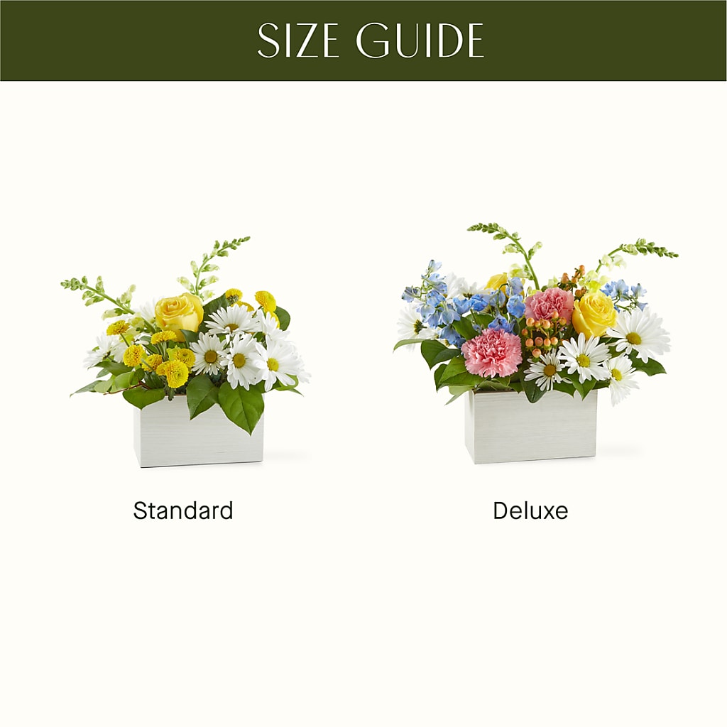 Sun Salutation Box Bouquet – TAYLOR'S MERCANTILE, Sewanee TN