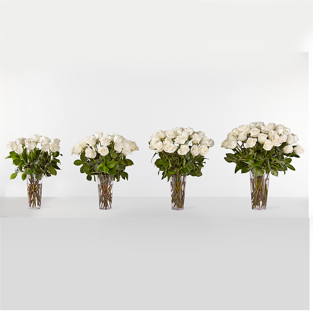 Long Stem White Rose Bouquet – TAYLOR'S MERCANTILE, Sewanee TN