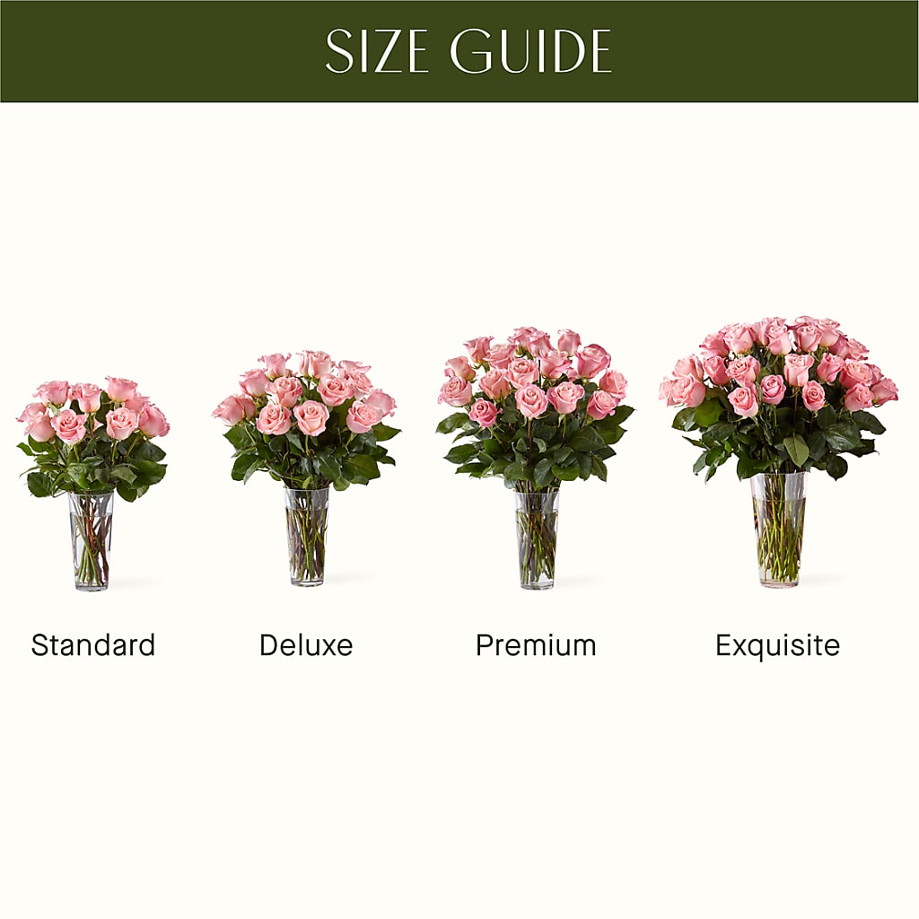 Long Stem Pink Rose Bouquet – TAYLOR'S MERCANTILE, Sewanee TN