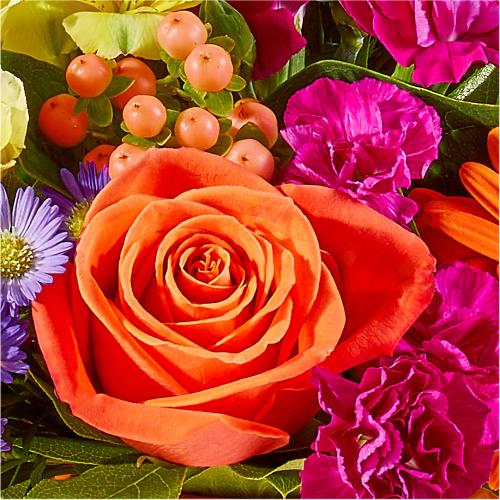 Tricks & Treats Pumpkin – TAYLOR'S MERCANTILE, Sewanee TN