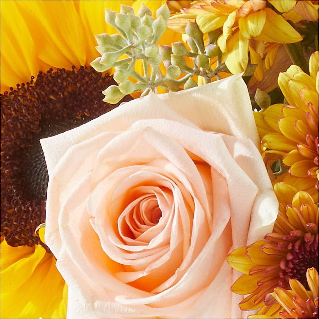 Pumpkin to Talk About Bouquet – TAYLOR'S MERCANTILE, Sewanee TN