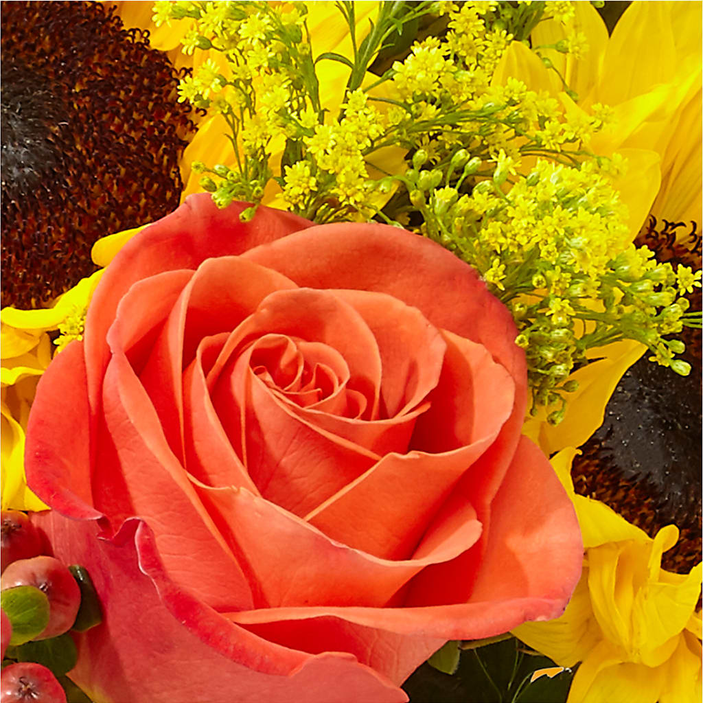 Pick of the Patch Pumpkin Bouquet – TAYLOR'S MERCANTILE, Sewanee TN