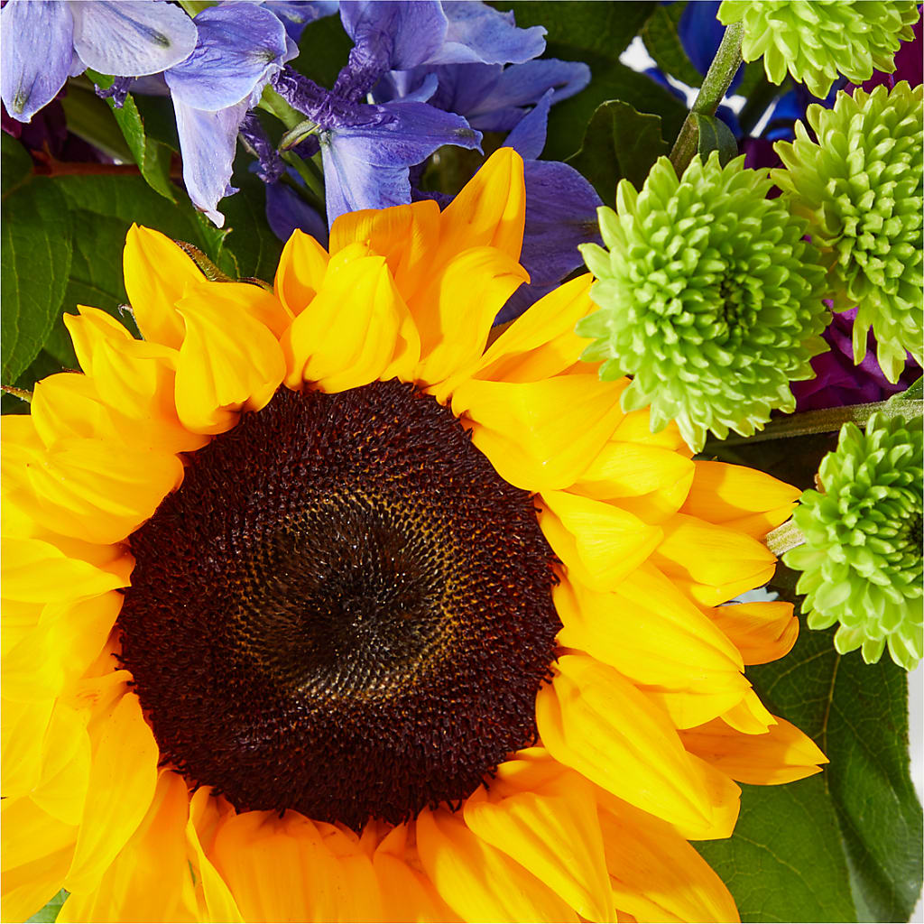Catching Rays Bouquet – TAYLOR'S MERCANTILE, Sewanee TN