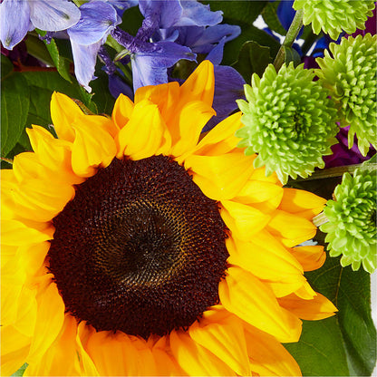 Catching Rays Bouquet – TAYLOR'S MERCANTILE, Sewanee TN