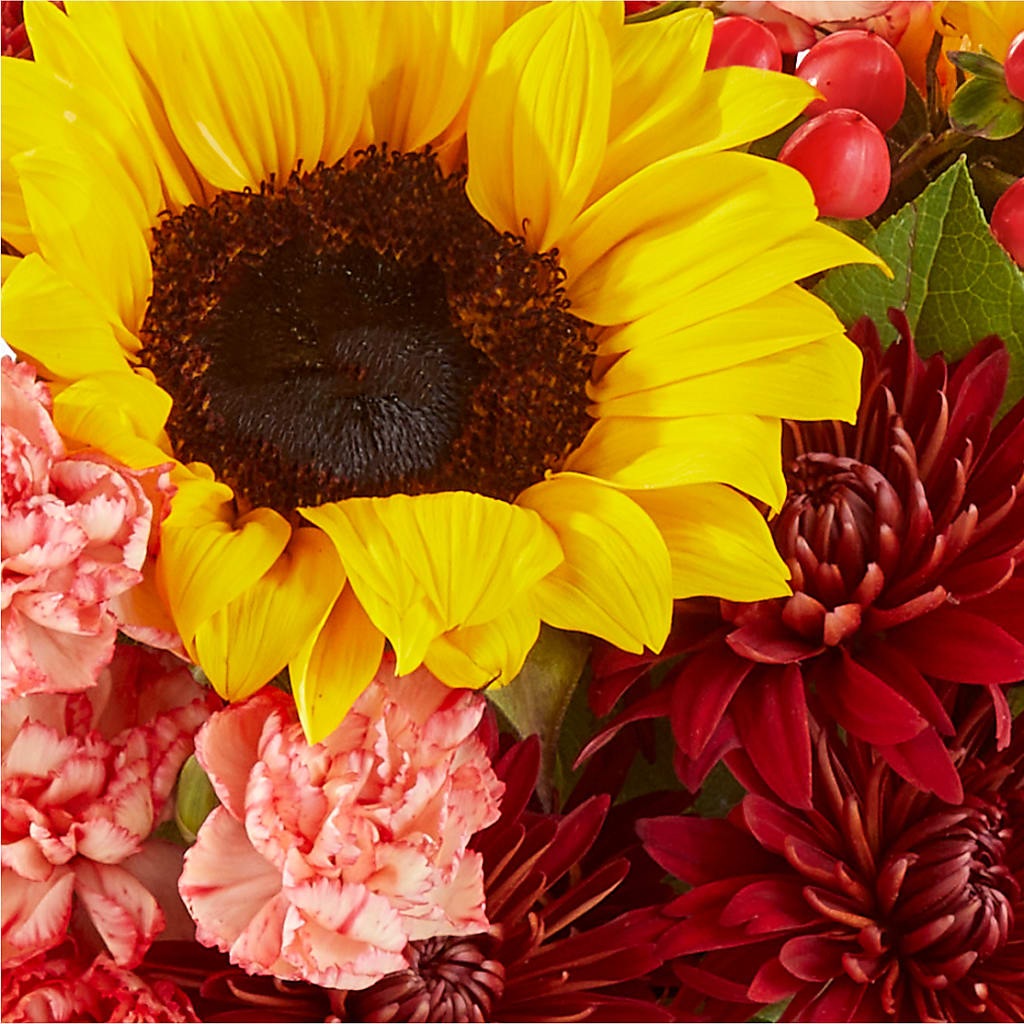 Fresh Cider Bouquet – TAYLOR'S MERCANTILE, Sewanee TN