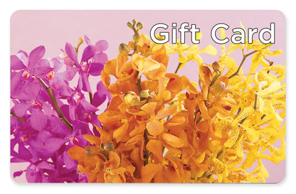 Gift Card – TAYLOR'S MERCANTILE, Sewanee TN