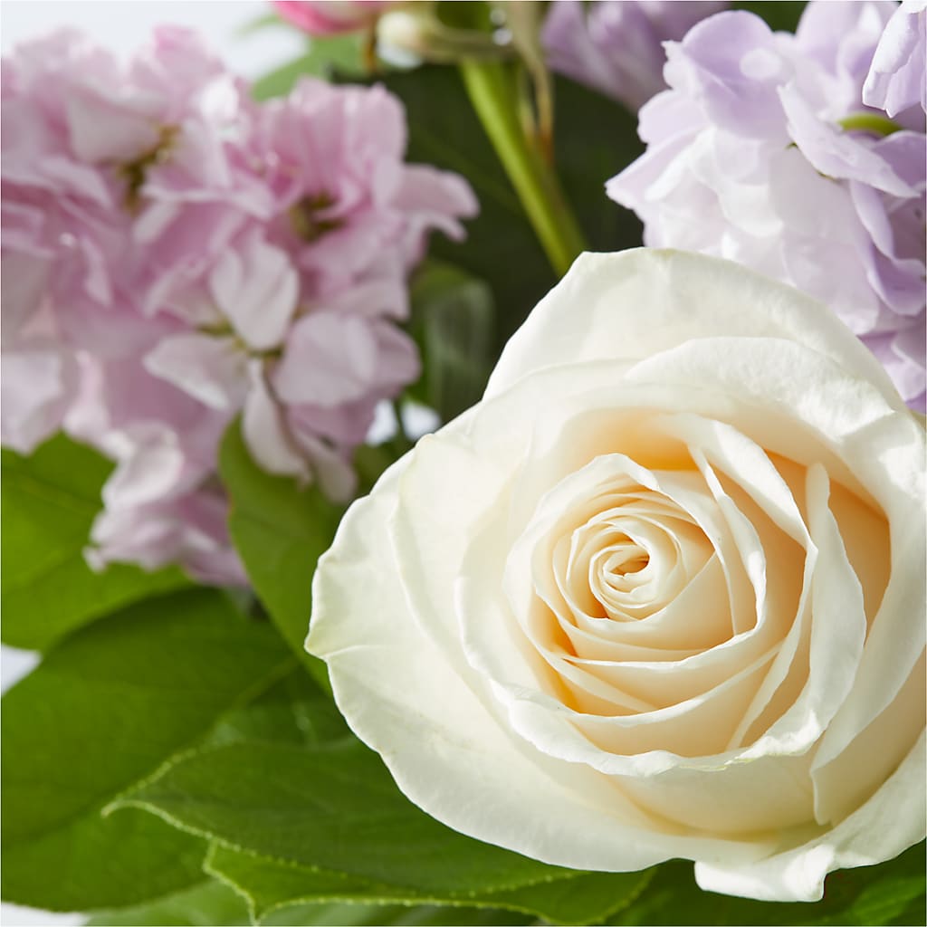 Springtime Spritz Bouquet – TAYLOR'S MERCANTILE, Sewanee TN