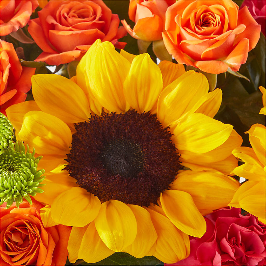 Sun-drenched Blooms Box Bouquet – TAYLOR'S MERCANTILE, Sewanee TN
