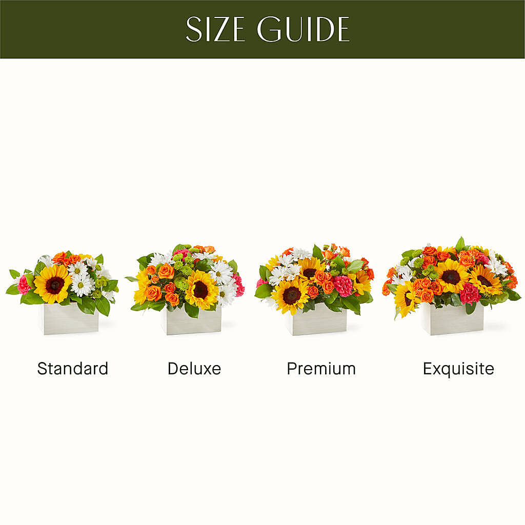Sun-drenched Blooms Box Bouquet – TAYLOR'S MERCANTILE, Sewanee TN