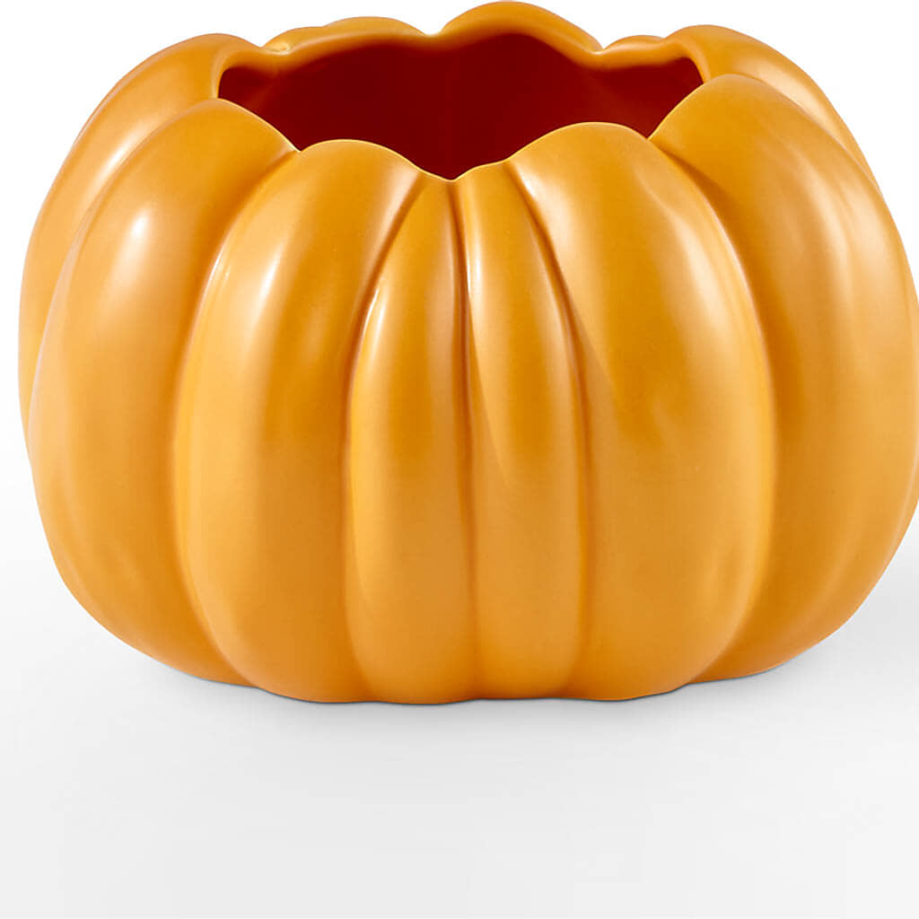 Golden Gourd Pumpkin Bouquet – TAYLOR'S MERCANTILE, Sewanee TN