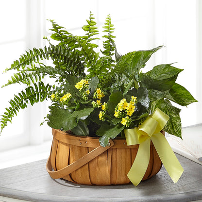 Always Dear Dishgarden – TAYLOR'S MERCANTILE, Sewanee TN