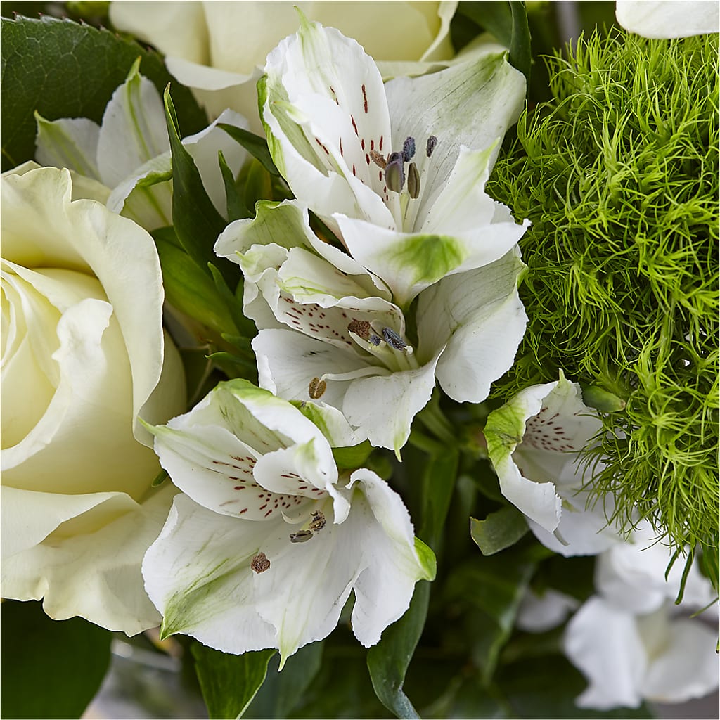 Classic Ivory – A Florist Original – TAYLOR'S MERCANTILE, Sewanee TN
