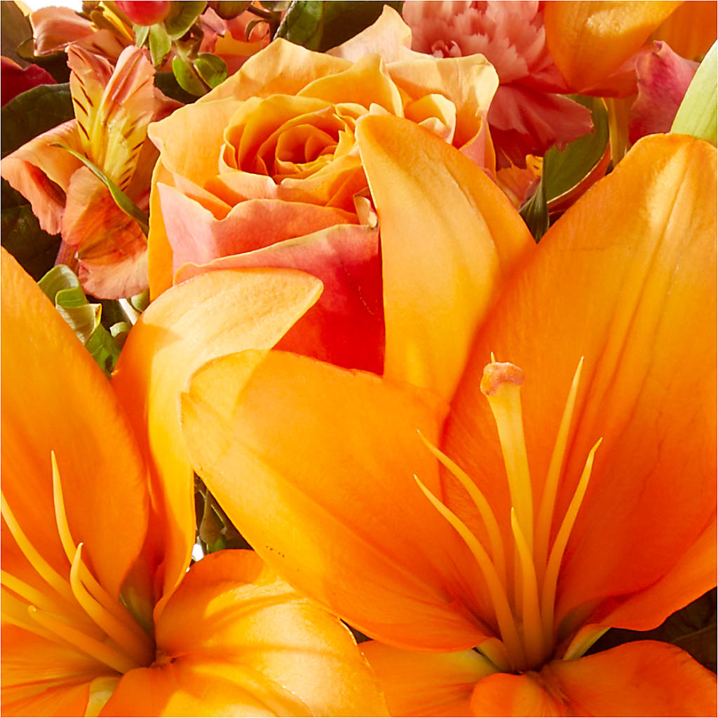 Afternoon Light Bouquet – TAYLOR'S MERCANTILE, Sewanee TN