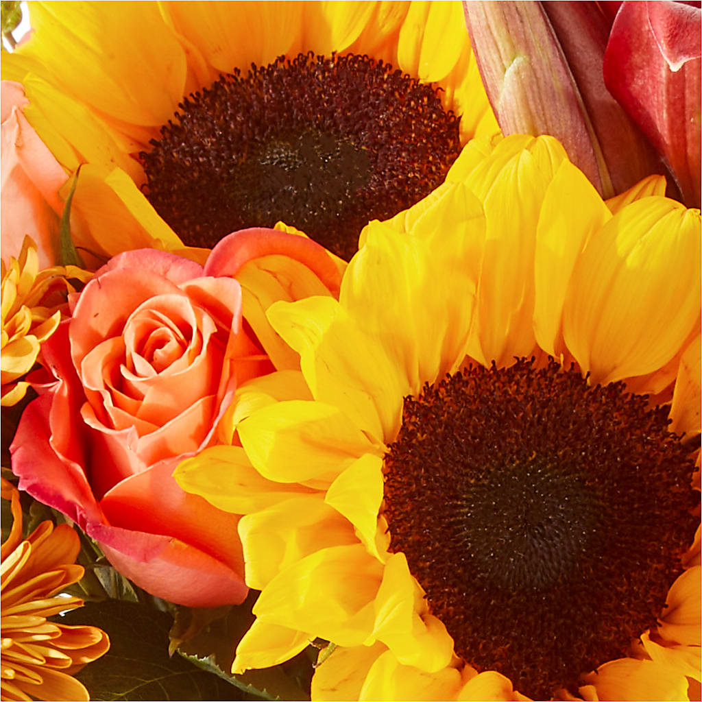 Acorn Lane Bouquet – TAYLOR'S MERCANTILE, Sewanee TN