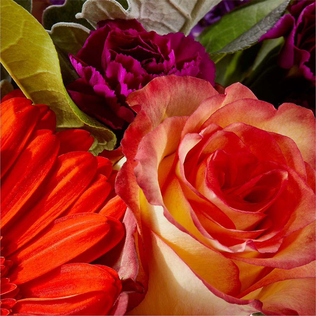 Sangria Bouquet – TAYLOR'S MERCANTILE, Sewanee TN