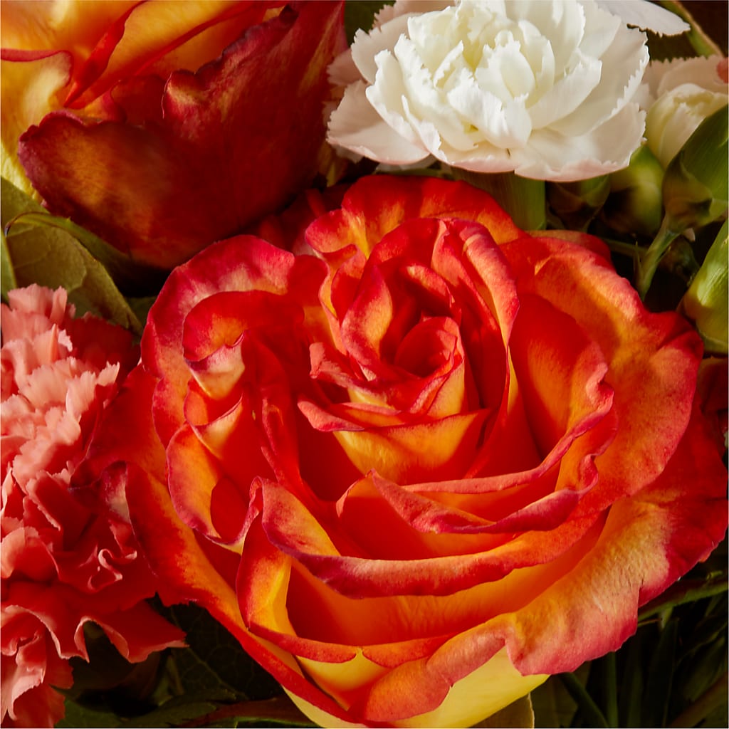 Apricot Glow Bouquet – TAYLOR'S MERCANTILE, Sewanee TN