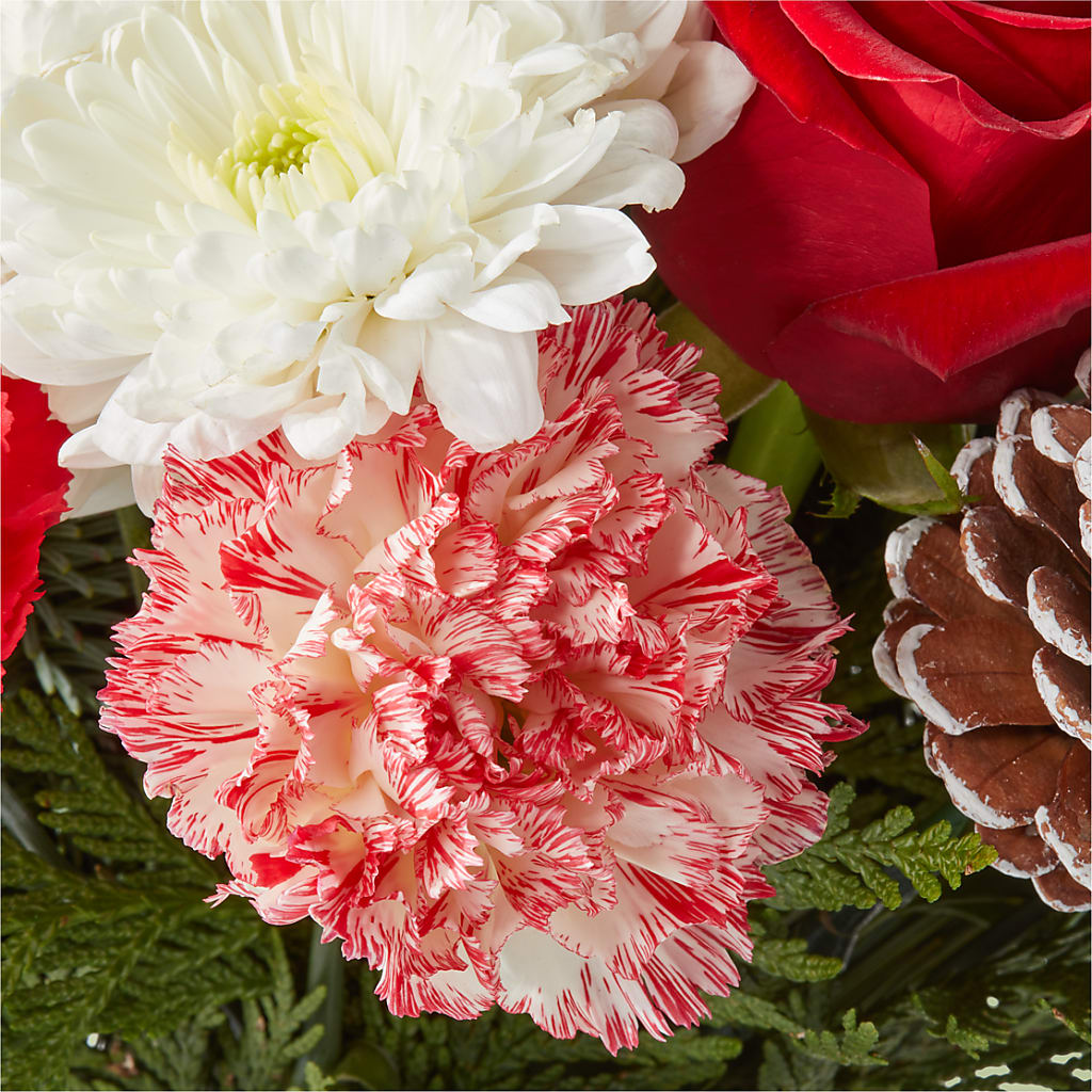 Candy Cane Lane Bouquet – TAYLOR'S MERCANTILE, Sewanee TN