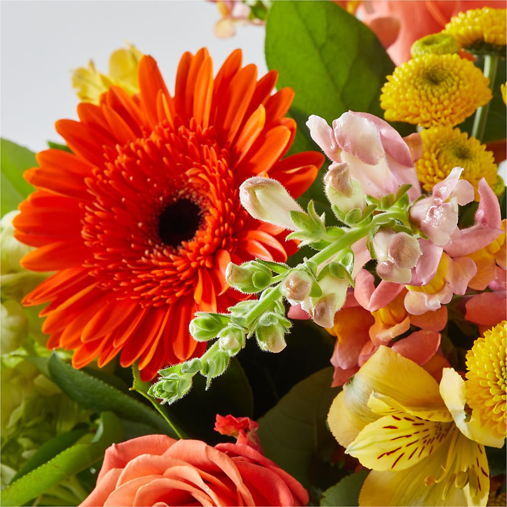 Autumn Sunshine Bouquet – TAYLOR'S MERCANTILE, Sewanee TN