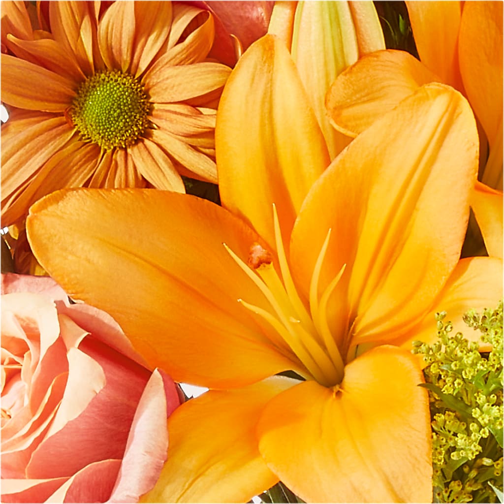 Harvest Hayride Bouquet – TAYLOR'S MERCANTILE, Sewanee TN