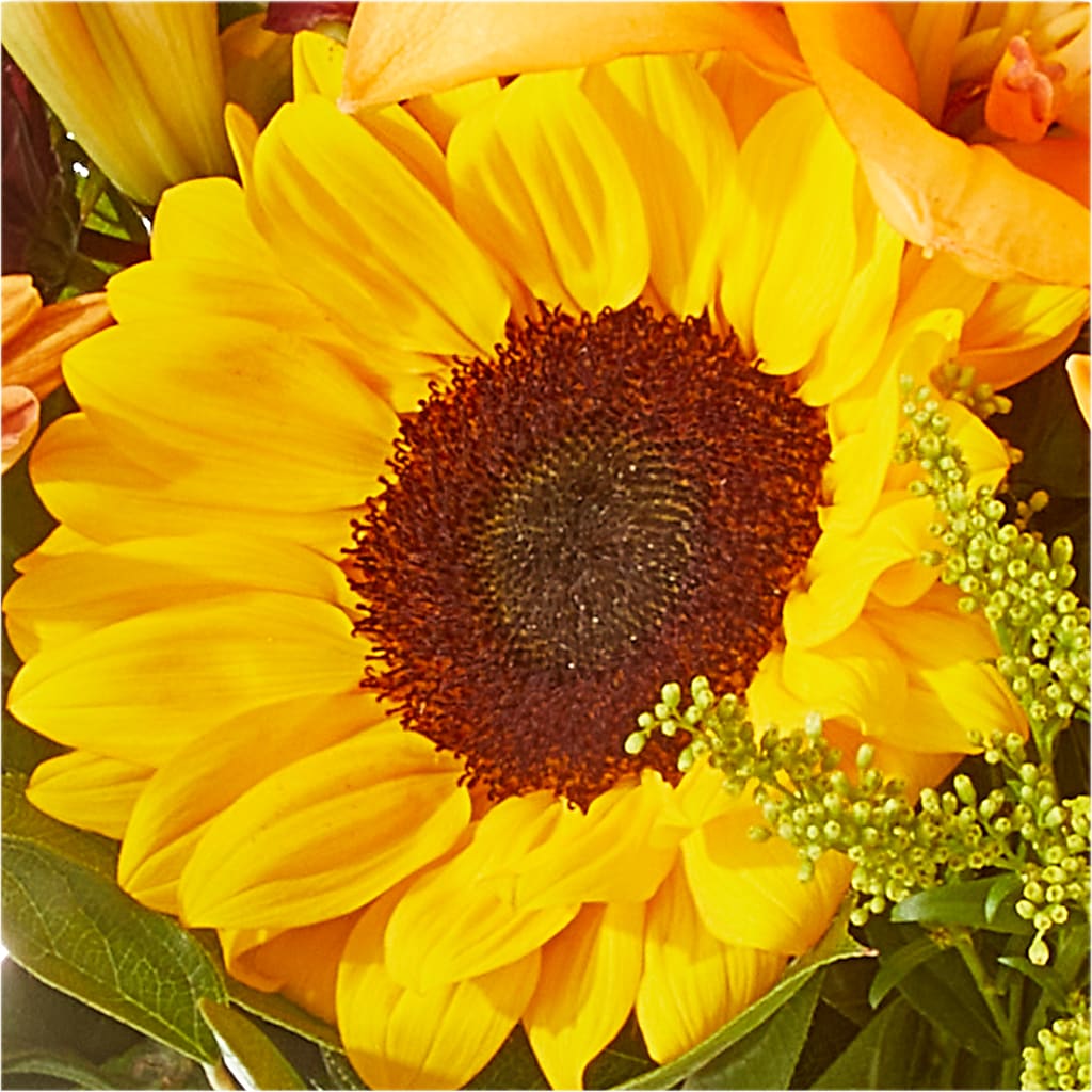 Seasons Change Bouquet – TAYLOR'S MERCANTILE, Sewanee TN