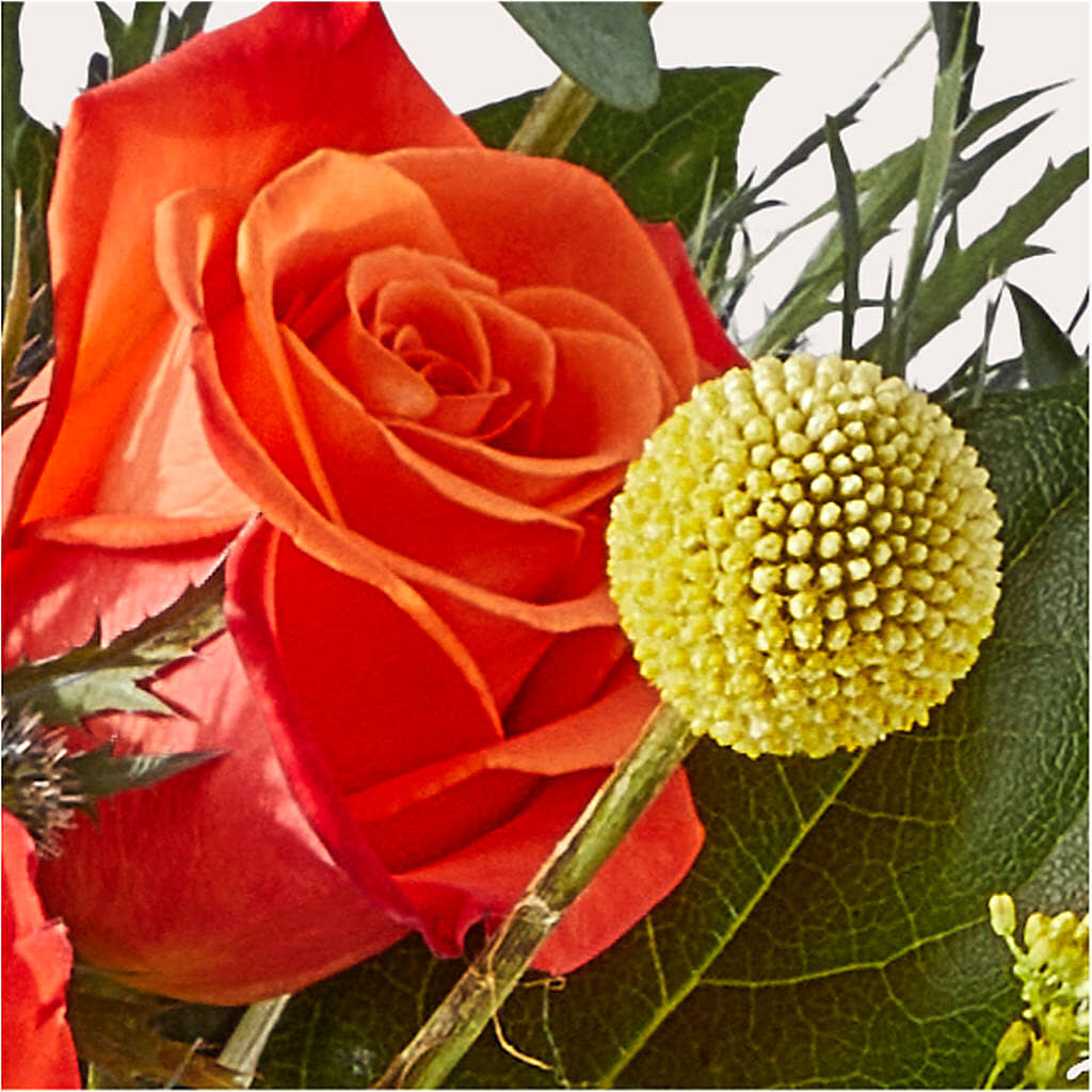 Disco Bouquet – TAYLOR'S MERCANTILE, Sewanee TN