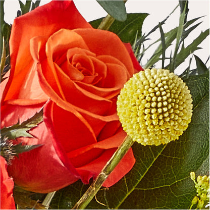 Disco Bouquet – TAYLOR'S MERCANTILE, Sewanee TN