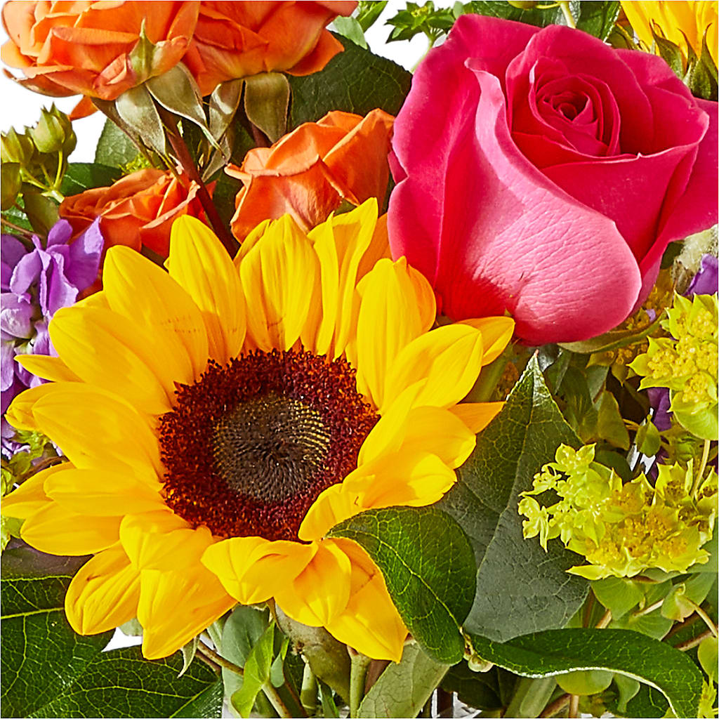 Vibrant Greetings Bouquet – TAYLOR'S MERCANTILE, Sewanee TN
