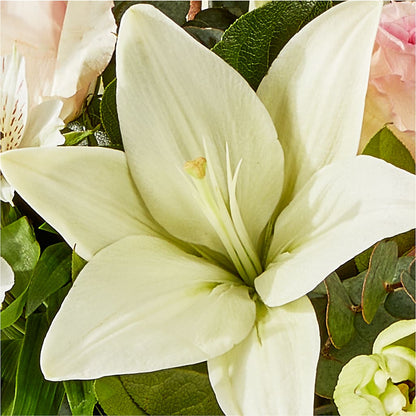 Ballet Slippers Bouquet – TAYLOR'S MERCANTILE, Sewanee TN